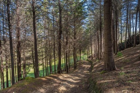 Photo of property in 370 Rosedale Road, Upper Moutere, 7175