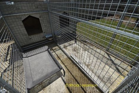 Photo of property in 88 Komiti Road, Tinopai, Matakohe, 0593