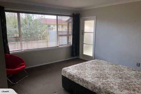 Photo of property in 33 Edinburgh Road, Hillcrest, Hamilton, 3216