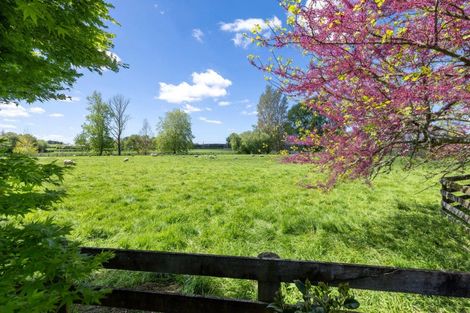 Photo of property in 542 Kaipaki Road, Ohaupo, 3881