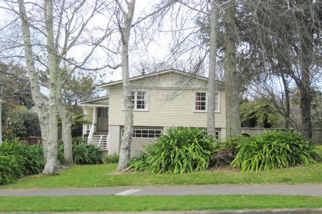 Photo of property in 17 Kawiu Road, Levin, 5510