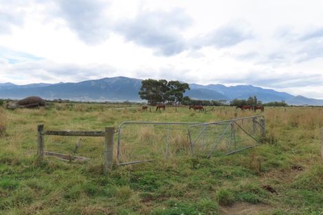 Photo of property in 50 Hawthorne Road, Kaikoura, 7300