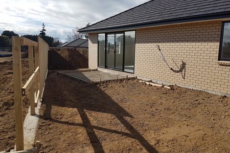 Photo of property in 87 Fairfield Road, Levin, 5510