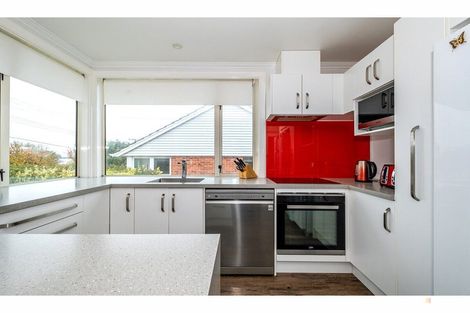 Photo of property in 58 Grants Road, Marchwiel, Timaru, 7910