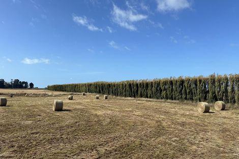 Photo of property in 8 Barrett Road, Spotswood, New Plymouth, 4310