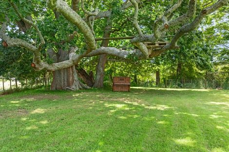 Photo of property in 38 Ritchie Street, Te Aroha, 3320