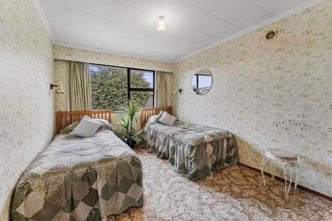 Photo of property in 26 Arnott Street, Alexandra, 9320