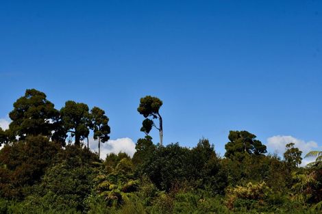 Photo of property in 37 South Terrace Road, Karamea, 7893