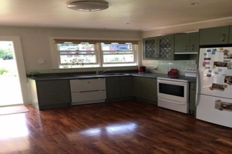 Photo of property in 45a Winter Street, Mangapapa, Gisborne, 4010