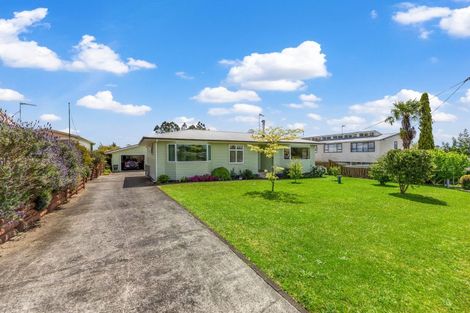 Photo of property in 34 Griffiths Street, Putaruru, 3411