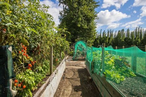 Photo of property in 26 Woodland Road, Tahawai, Katikati, 3170