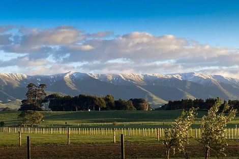 Photo of property in 490 Maharahara Road, Dannevirke, 4972