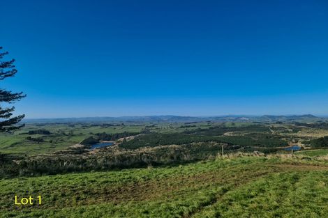 Photo of property in 300 Mcdonald Mine Road, Waikokowai, Huntly, 3771