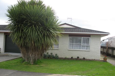 Photo of property in 33 Liverpool Street, Levin, 5510