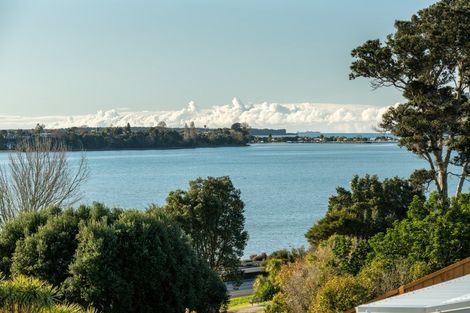 Photo of property in 89 Sixth Avenue, Tauranga, 3110