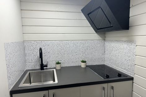 Photo of property in 381a Mount Albert Road, Mount Roskill, Auckland, 1041