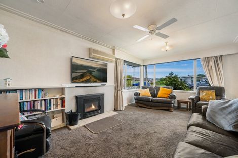 Photo of property in 15 Brandon Street, Alexandra, 9320