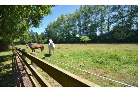 Photo of property in 36 Ness Road, Waipapa, 0295