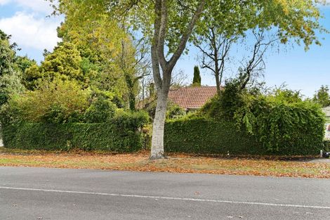 Photo of property in 61 Holland Road, Fairfield, Hamilton, 3214