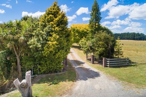 Photo of property in 17 Coulters Line, Kiwitea, Feilding, 4777