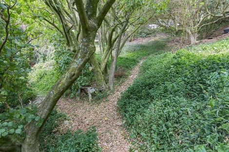 Photo of property in 45 Farnham Street, Mornington, Wellington, 6021