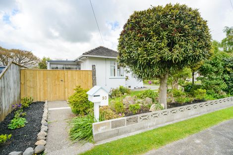 Photo of property in 93 Stortford Street, Ashhurst, 4810