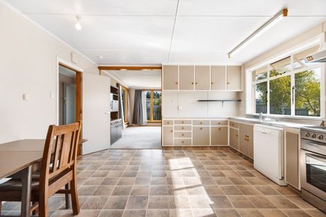 Photo of property in 22 Northland Street, Ranfurly, 9332