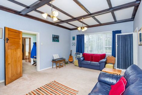 Photo of property in 21 Ridout Street, Maeroa, Hamilton, 3200