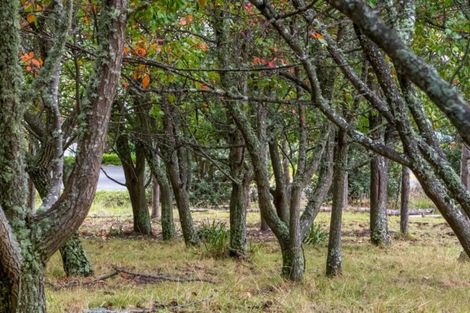 Photo of property in 47 Werneth Street, Atawhai, Nelson, 7010