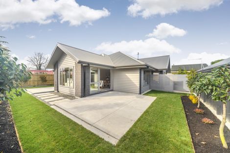 Photo of property in 48 Weston Avenue, Roslyn, Palmerston North, 4414