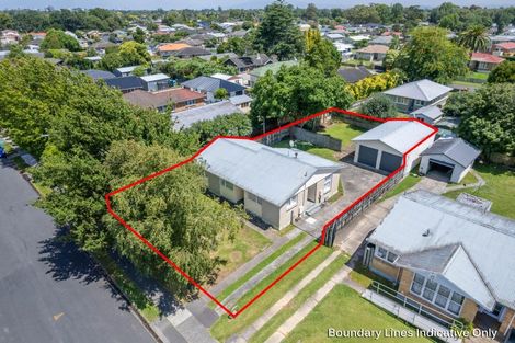 Photo of property in 25 Bellmont Avenue, Chartwell, Hamilton, 3210