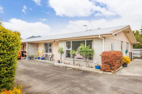 Photo of property in 164 Grey Street, Palmerston North, 4410