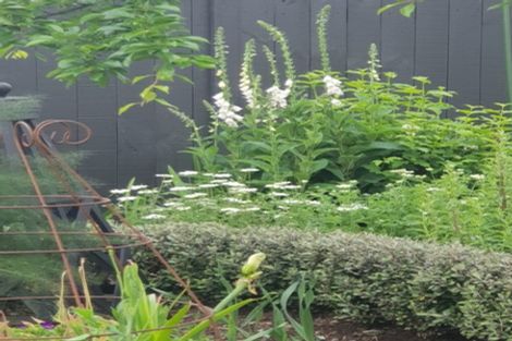 Photo of property in 19 Waitahanui Avenue, Taupo, 3330