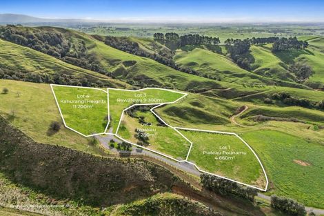 Photo of property in 928 Kairangi Road, Rotoorangi, Cambridge, 3495