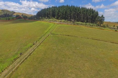 Photo of property in 119 Bradleys Landing Road, Arapohue, Dargaville, 0374