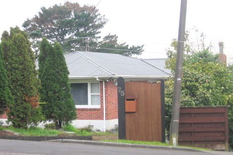 Photo of property in 75 Don Buck Road, Massey, Auckland, 0614