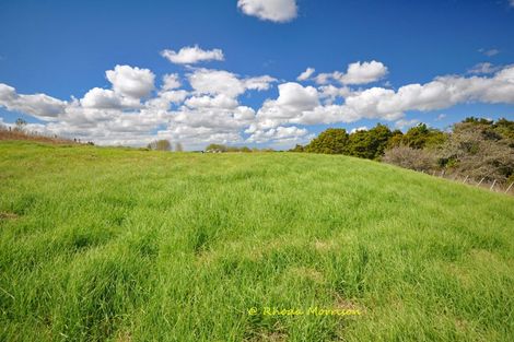 Photo of property in 196 Metcalfe Road, Matakohe, 0593