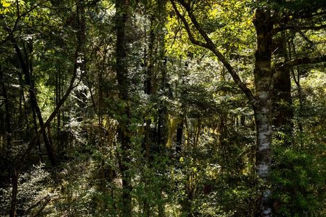 Photo of property in 101 Gowan Valley Road, Gowanbridge, Murchison, 7077