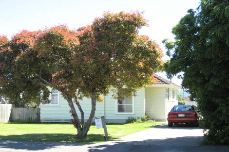 Photo of property in 40 Elizabeth Street, Riversdale, Blenheim, 7201