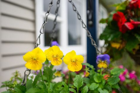 Photo of property in 10 Fairview Avenue, Feilding, 4702