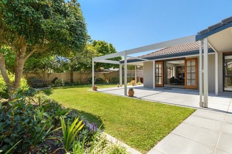Photo of property in 55 Kings Avenue, Matua, Tauranga, 3110