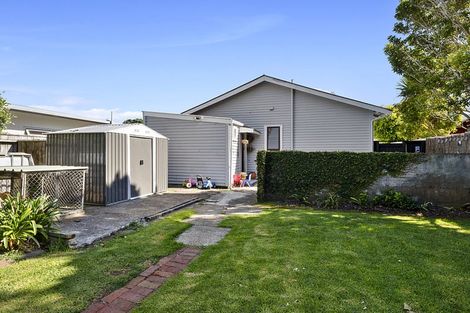 Photo of property in 17 Massey Street, Westown, New Plymouth, 4310