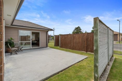 Photo of property in 145 Duke Street, Dinsdale, Hamilton, 3204