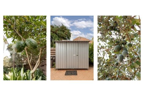 Photo of property in 1/18 Garden Place, Tauranga South, Tauranga, 3112