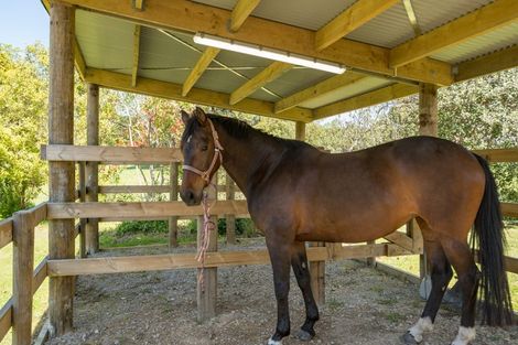 Photo of property in 359 Pigeon Valley Road, Pigeon Valley, Wakefield, 7096