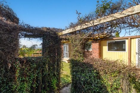 Photo of property in 1b Birmingham Street, Judea, Tauranga, 3110