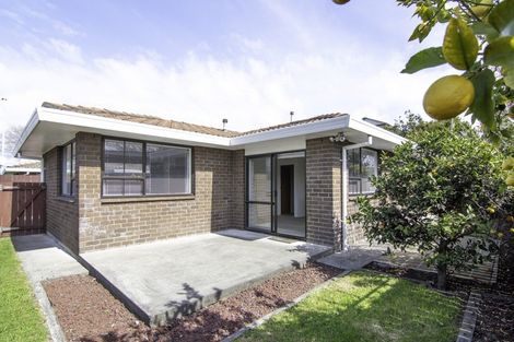 Photo of property in 525b Church Street, Palmerston North, 4410