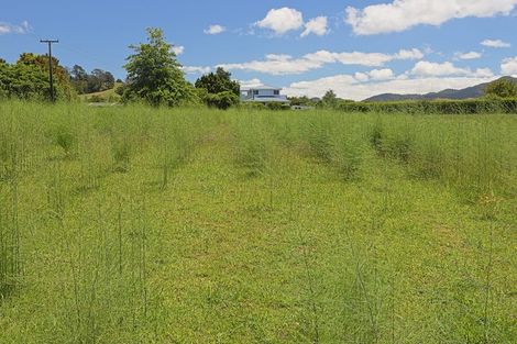 Photo of property in 546 Trig Road, Waihi, 3681