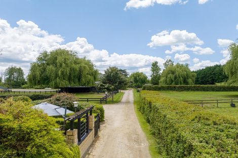 Photo of property in 191 Hautapu Road, Pukemoremore, Cambridge, 3493