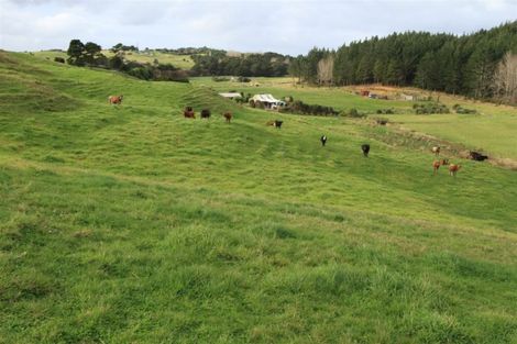 Photo of property in 388 South Road, Waipu, 0582